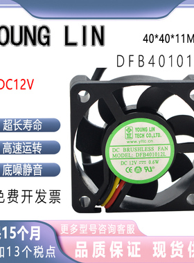 南桥/北桥 4cm 4010 DFB401012L 12V 0.6W 双滚珠超静音散热风扇