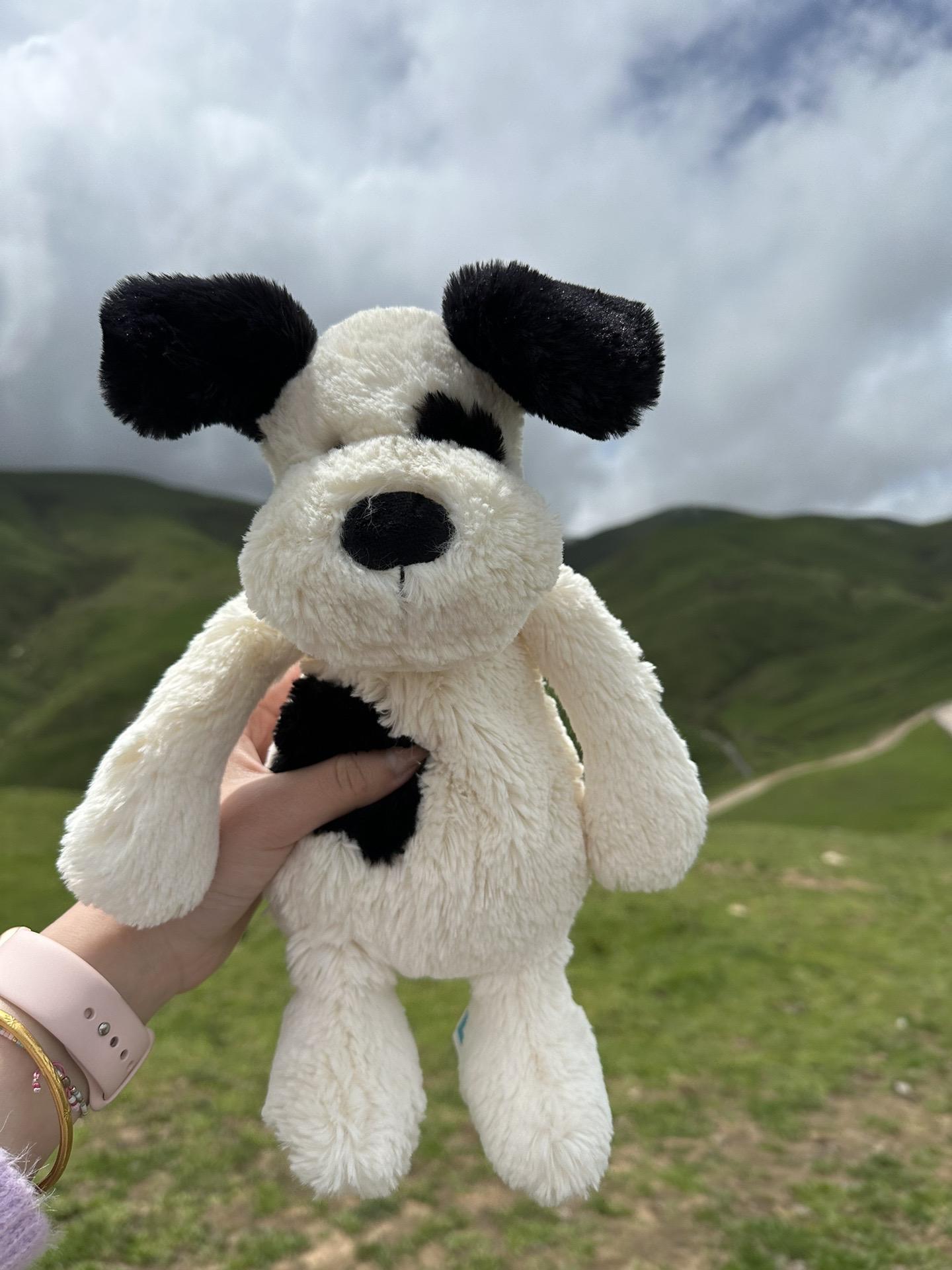 百补Jellycat拉弗荻小狗黑白小狗图片