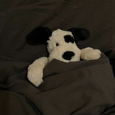 jellycat海盗狗毛绒玩偶