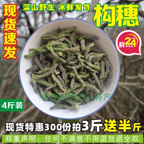 26年河南露天农家构树花野生构穗蒸野菜构絮楮不就子嫩枸桃儿包邮