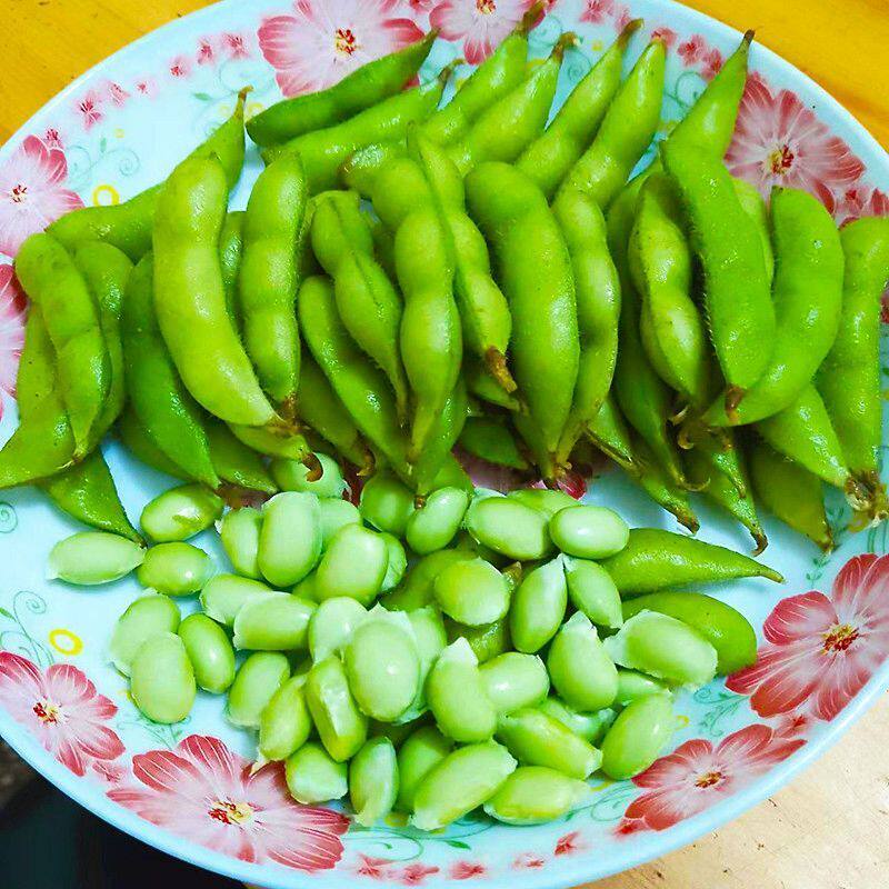 26年新鲜毛豆河南农家特产毛豆新鲜毛豆现摘现发毛豆新鲜毛豆包邮