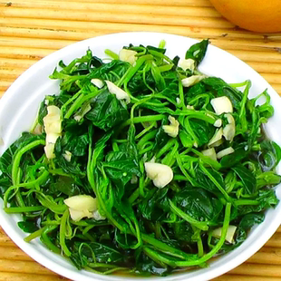 25年新鲜苋菜绰水冷冻人汉菜野生真空商用绿苋菜现货嫩银线菜 包邮