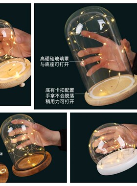 EVA卡扣防脱落海绵底灯串底座永生花DIY展示罩纪念品防尘罩摆件