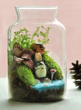 大容量直筒玻璃瓶带灯微景观造景容器高透明大口径玻璃缸打孔木塞