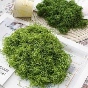 仿真苔藓人造假青苔微景观布置装饰材料店铺软装铺面造景摄影道具