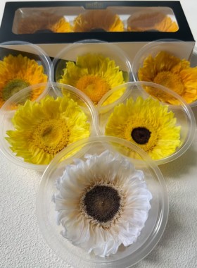 永生花向日葵太阳花黄色橙色干花真花向日葵花头手工制作花艺材料