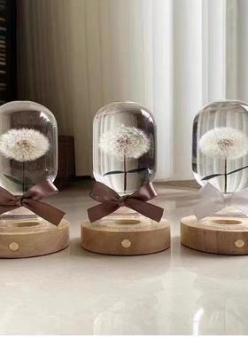 倒置浮游花圆头玻璃瓶DIY植物标本矿物油瓶自制高透干花香薰摆件