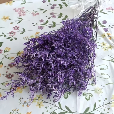 永生花情人草干花自然花束110克一束花店花束配草室内花瓶装饰草