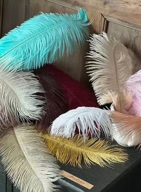 手工鸵鸟大羽毛亮片插枝配件拍照道具DIY装饰花店插花花束羽毛花