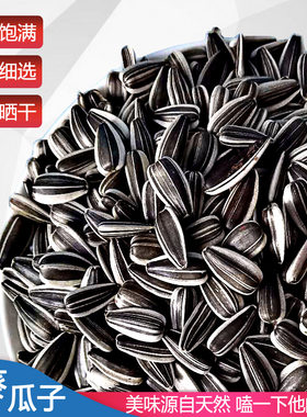 云南葵花籽颗粒新鲜散装生瓜子