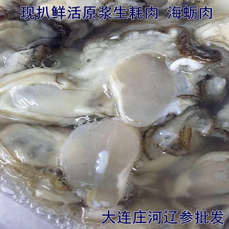 庄河海鲜特产 大连庄河野生鲜活手扒鲜活生耗肉 牡蛎肉 原浆海蛎