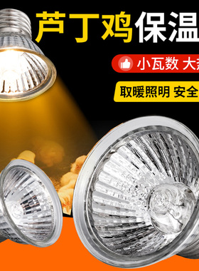保温灯保温灯芦丁鸡饲养箱取暖灯鹦鹉专用养殖保暖灯加热灯泡加温