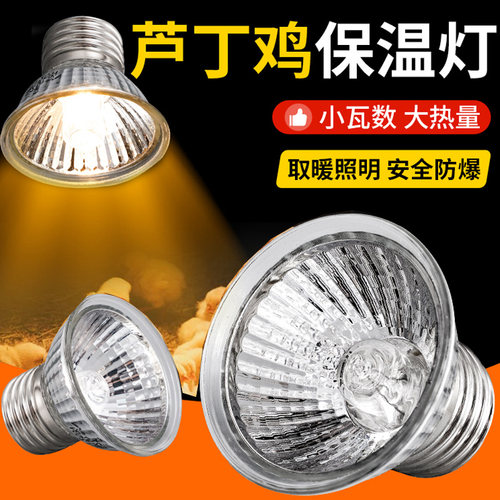 保温灯保温灯芦丁鸡饲养箱取暖灯