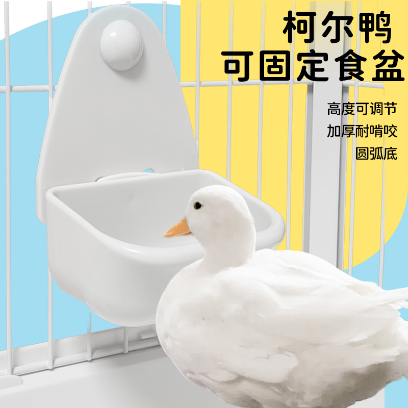 柯尔鸭用品食盆日本马卡喂食器