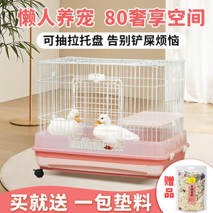 柯尔鸭鸭笼专用家用透明可观赏室内大号柯尔鸭养殖小黄鸭饲养箱