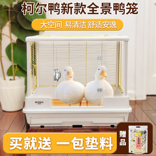 柯尔鸭笼子兔子鸭子豚鼠小鸡专用养殖防喷尿大笼子家用的窝育雏
