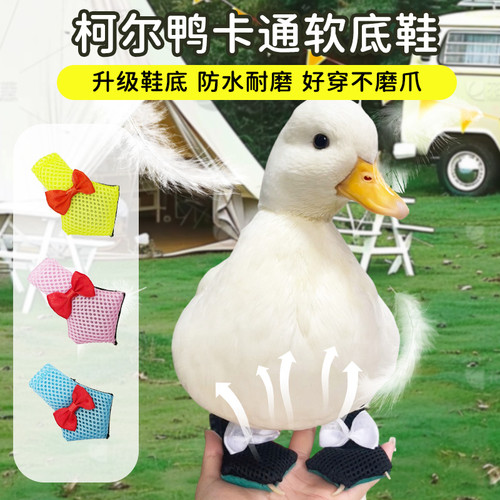 冲鸭club柯尔鸭装饰鞋防滑鞋垫