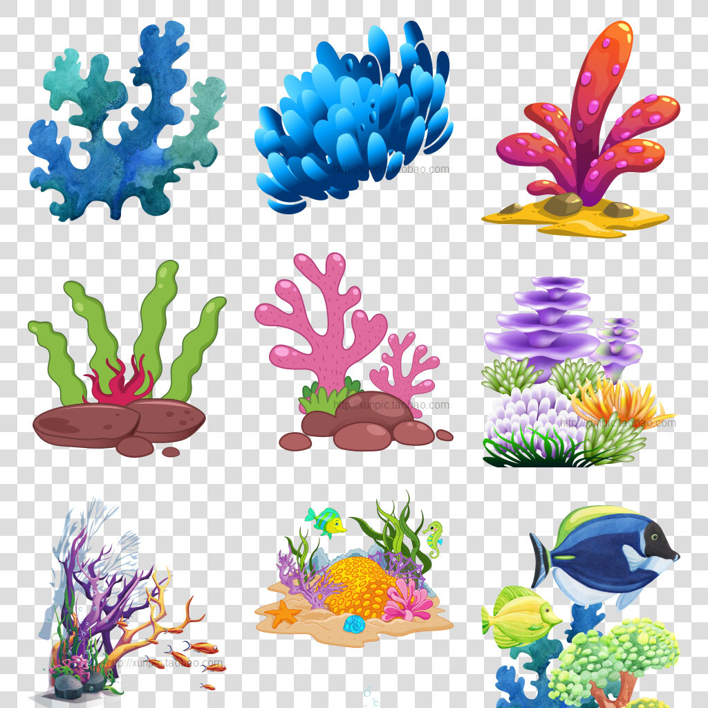 海草海底植物珊瑚图片珊瑚礁png模板 png透明元素 海底植物 海带