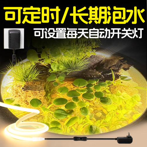 可遥控+可泡水+定时自动开关灯