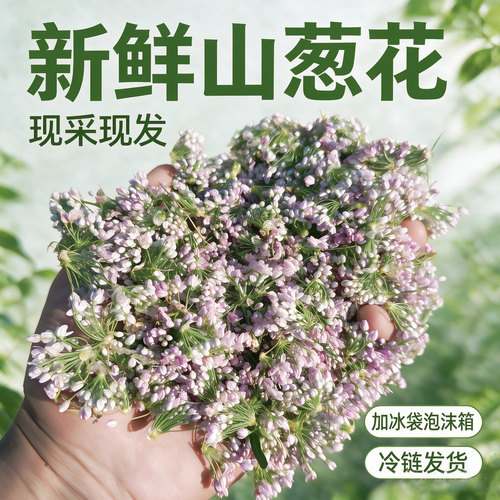 新鲜山葱花摘麻麻花现采