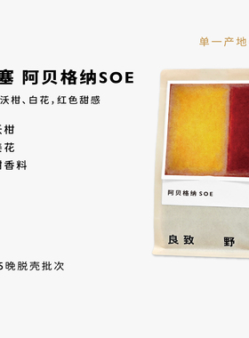 良致 25年晚脱壳批次西达摩阿贝格纳中浅烘精品手冲意式SOE咖啡豆