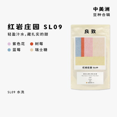 中美洲系列合集手冲咖啡豆