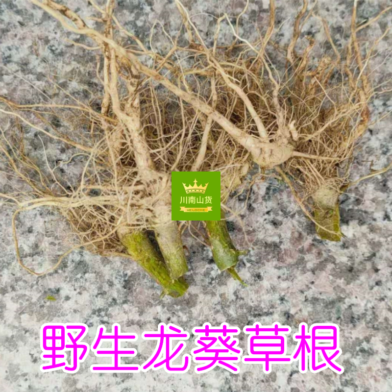新鲜龙葵根 现挖野生龙葵草根250g包邮内服煎汤外用捣