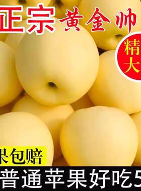 黄元帅苹果黄香蕉苹果粉糯香甜宝宝老人吃现摘水果10斤装辽宁甘