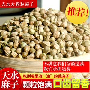 甘肃香麻子天水麻子秦安麻子火麻子特大颗粒炒熟食1斤包邮