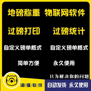地磅称重管理系统软件电子地磅地泵系统汽车衡管理过磅称重软件