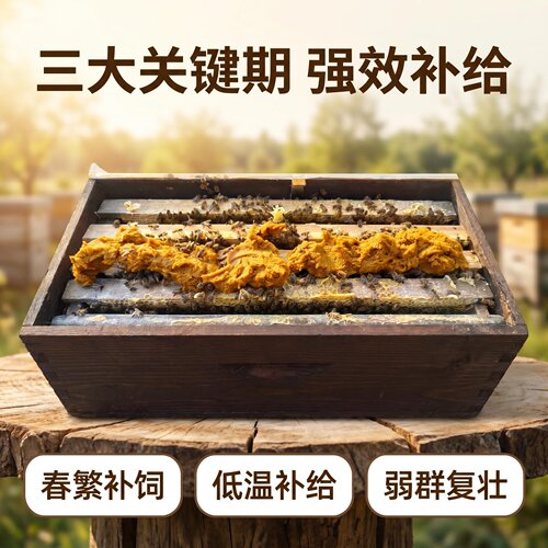 蜜蜂蜂群复壮春繁低温强效补饲