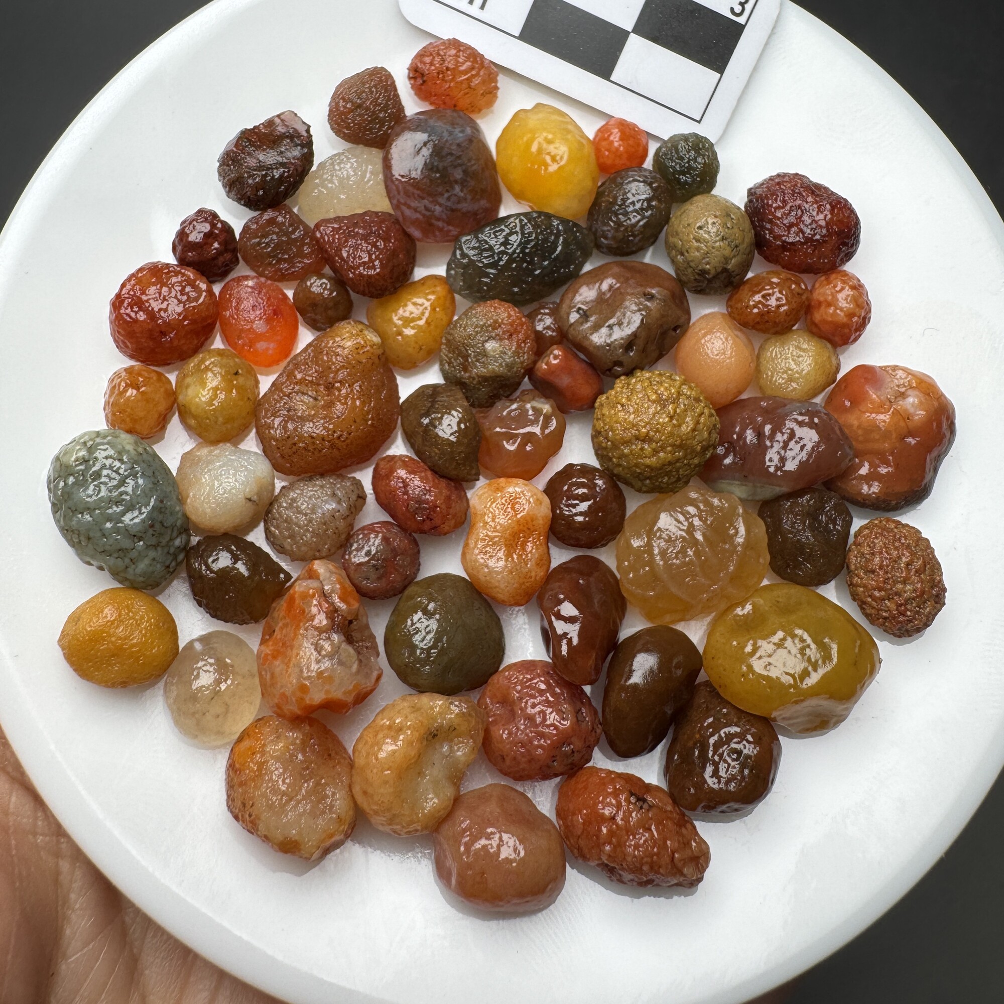 49克 一盘血脉小颗粒天然戈壁玛瑙原石 满50包邮-388