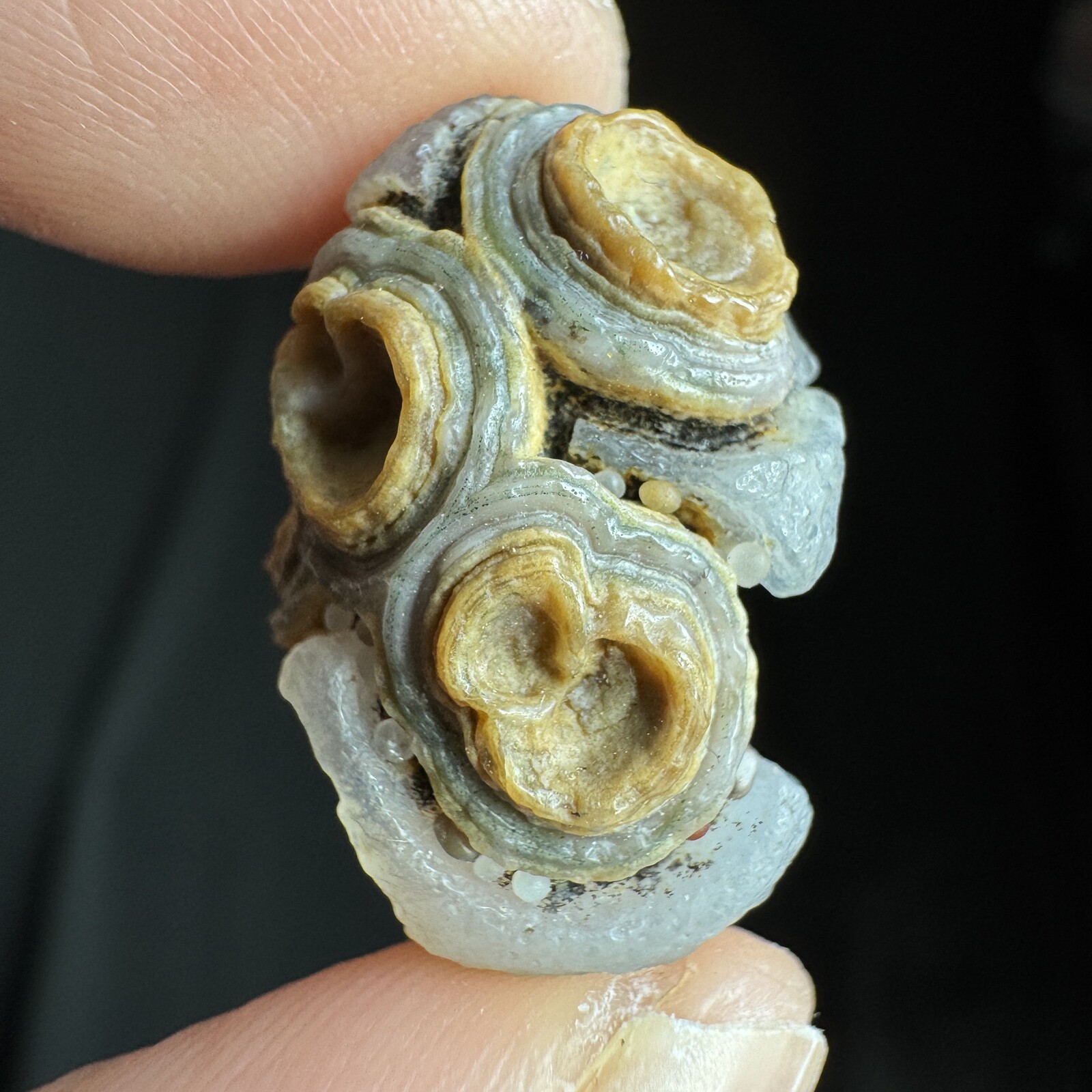 2.2cm 眼睛石 天然戈壁玛瑙原石-4053