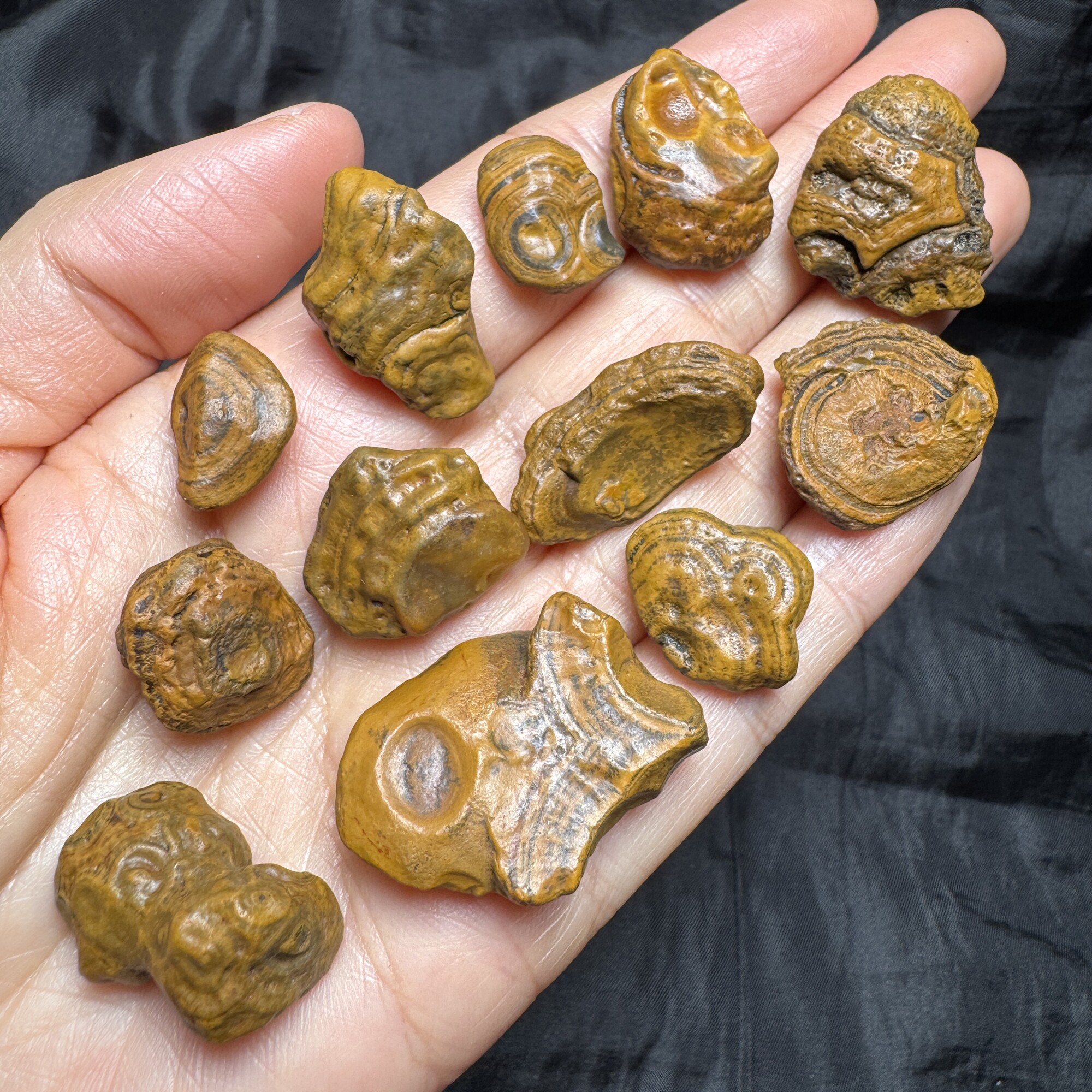 【特惠组合】12颗地表钱币眼睛石 天然戈壁玛瑙原石满50包邮-5431