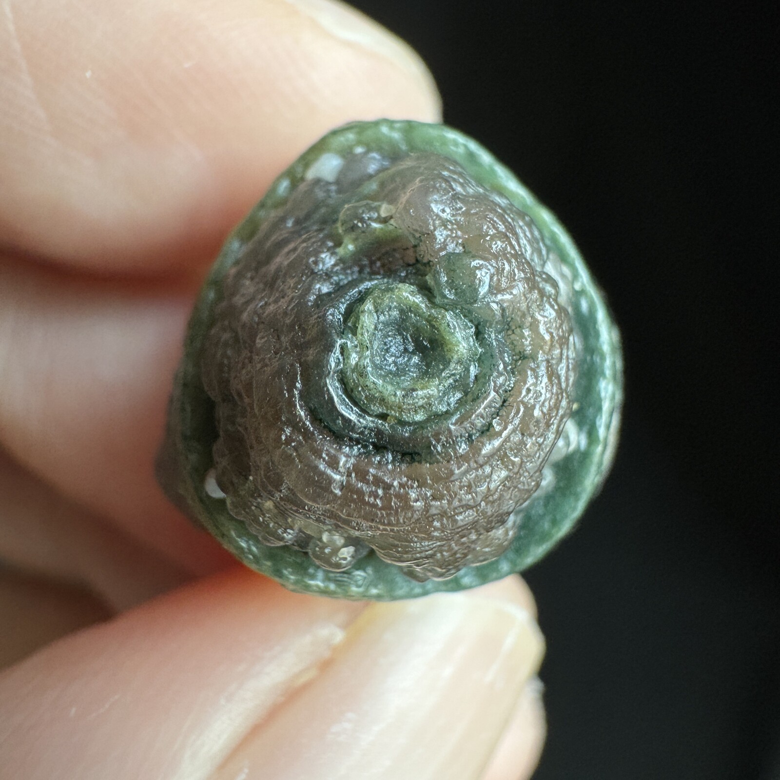 1.7cm 眼睛石 天然戈壁玛瑙原石-4057