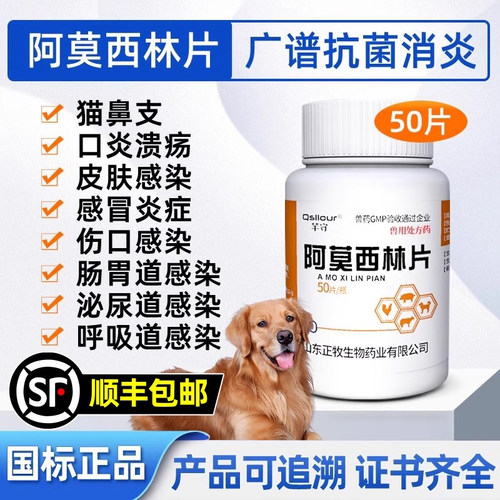 狗狗猫咪感冒药宠物用阿莫西林片