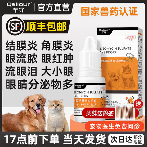 硫酸新霉素滴眼液猫咪眼药水洗眼