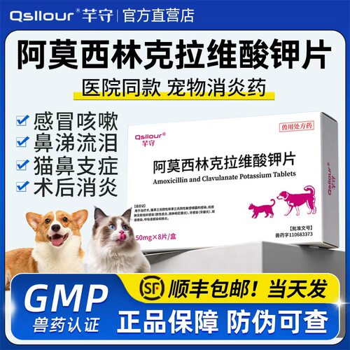 阿莫西林克拉维酸钾狗猫鼻支宠物