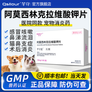 阿莫西林克拉维酸钾片猫咪打喷嚏宠物狗狗感冒咳嗽消炎片猫鼻支药