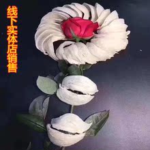 高考学生营养品印尼正品孕妇燕窝1