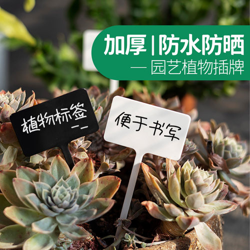 植物标签插牌加厚防水防晒