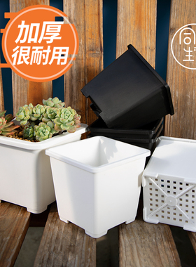 多肉花盆景天小方盆大号老桩韩式仙人球多肉小白方盆塑料黑方加厚