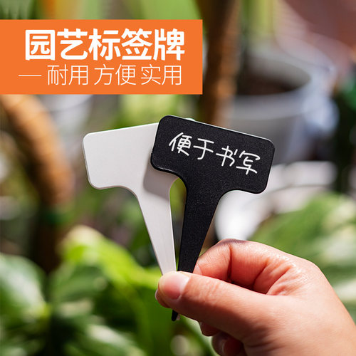 多肉标签插牌塑料园艺植物防水