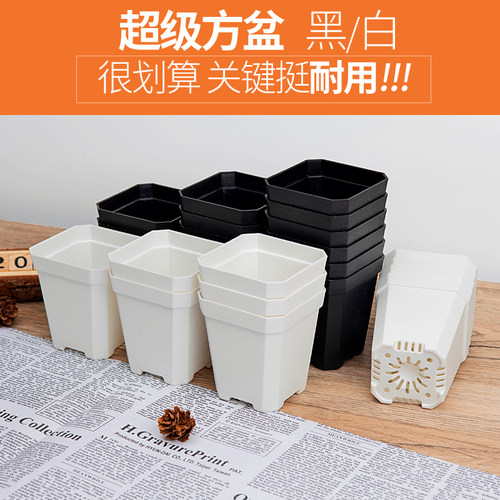 多肉植物花盆方形塑料特价清仓