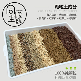 同根生 多肉植物通用植料介质100%纯颗粒混土十二卷仙人球 老桩