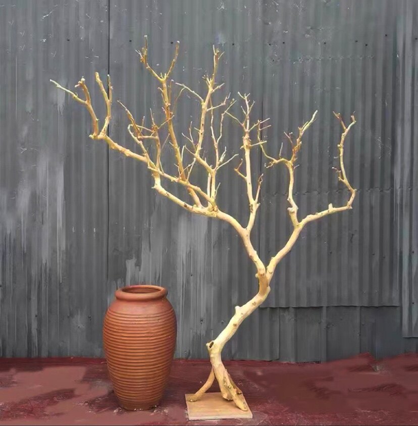 去皮干树枝天然造型干枝枯枝装饰实木树干造型树枯木造型婚礼装i.图片