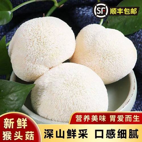 古田妹深山新鲜猴头菇2斤