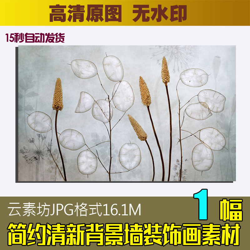 情愫 现代简约小清新透明花卉植物背景墙壁画壁纸图片装饰画素材