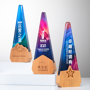 创意木质奖杯定制定做高档水晶奖牌制作年会优秀员工表彰纪念嘉奖