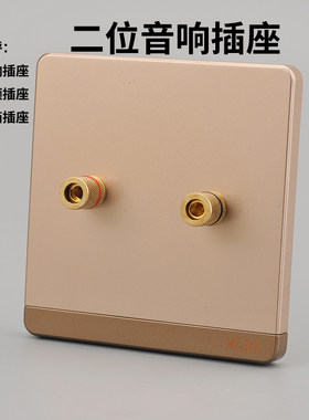 86型音频插座音响国际电工